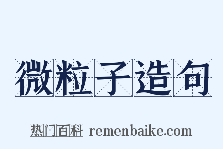 微粒子造句是什么意思的图片